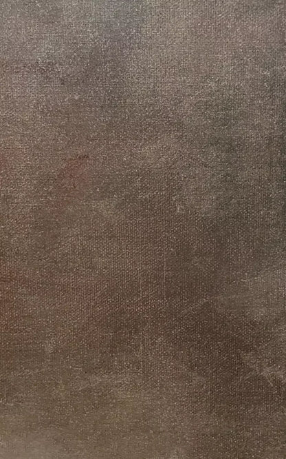 Rough Texture 9X14 Ultracloth ( 108 X 168 Inch ) Backdrop