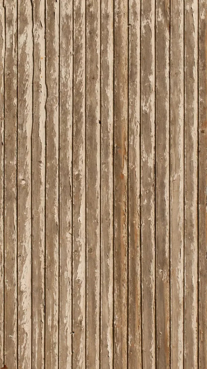 Route 8X14 Ultracloth ( 96 X 168 Inch ) Backdrop