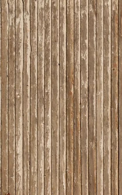 Route 9X14 Ultracloth ( 108 X 168 Inch ) Backdrop