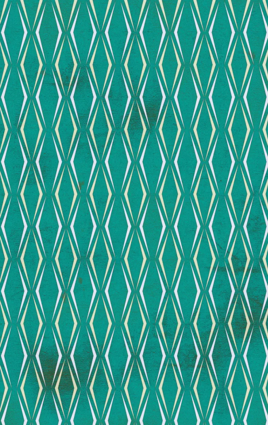 Rowley 10X16 Ultracloth ( 120 X 192 Inch ) Backdrop