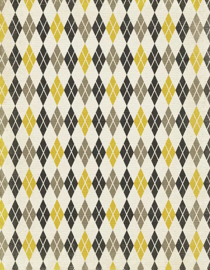 Roy 6X8 Fleece ( 72 X 96 Inch ) Backdrop