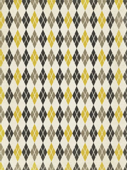 Roy 8X10 Fleece ( 96 X 120 Inch ) Backdrop