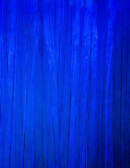 Royal Garment 6X8 Fleece ( 72 X 96 Inch ) Backdrop