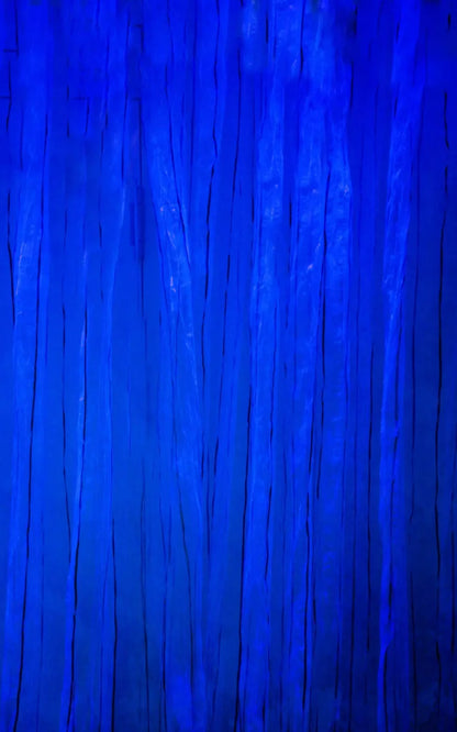 Royal Garment 9X14 Ultracloth ( 108 X 168 Inch ) Backdrop