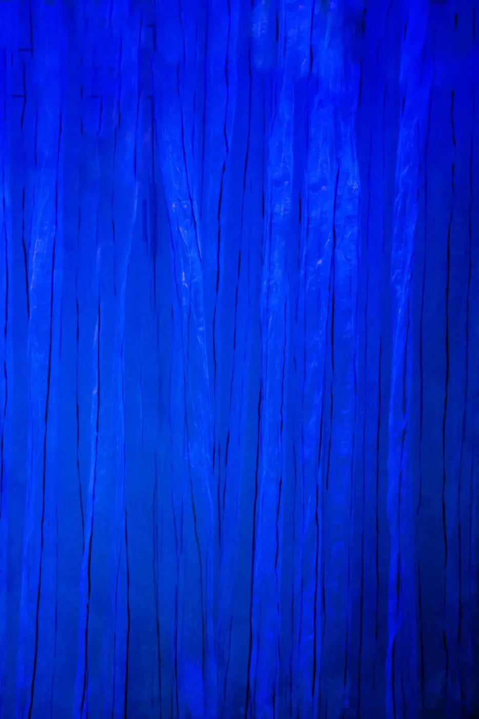 Royal Garment Backdrop