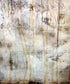 Beige Textured Backdrop for Photography