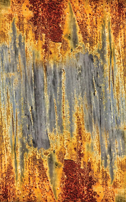 Rustic Dreams 9X14 Ultracloth ( 108 X 168 Inch ) Backdrop