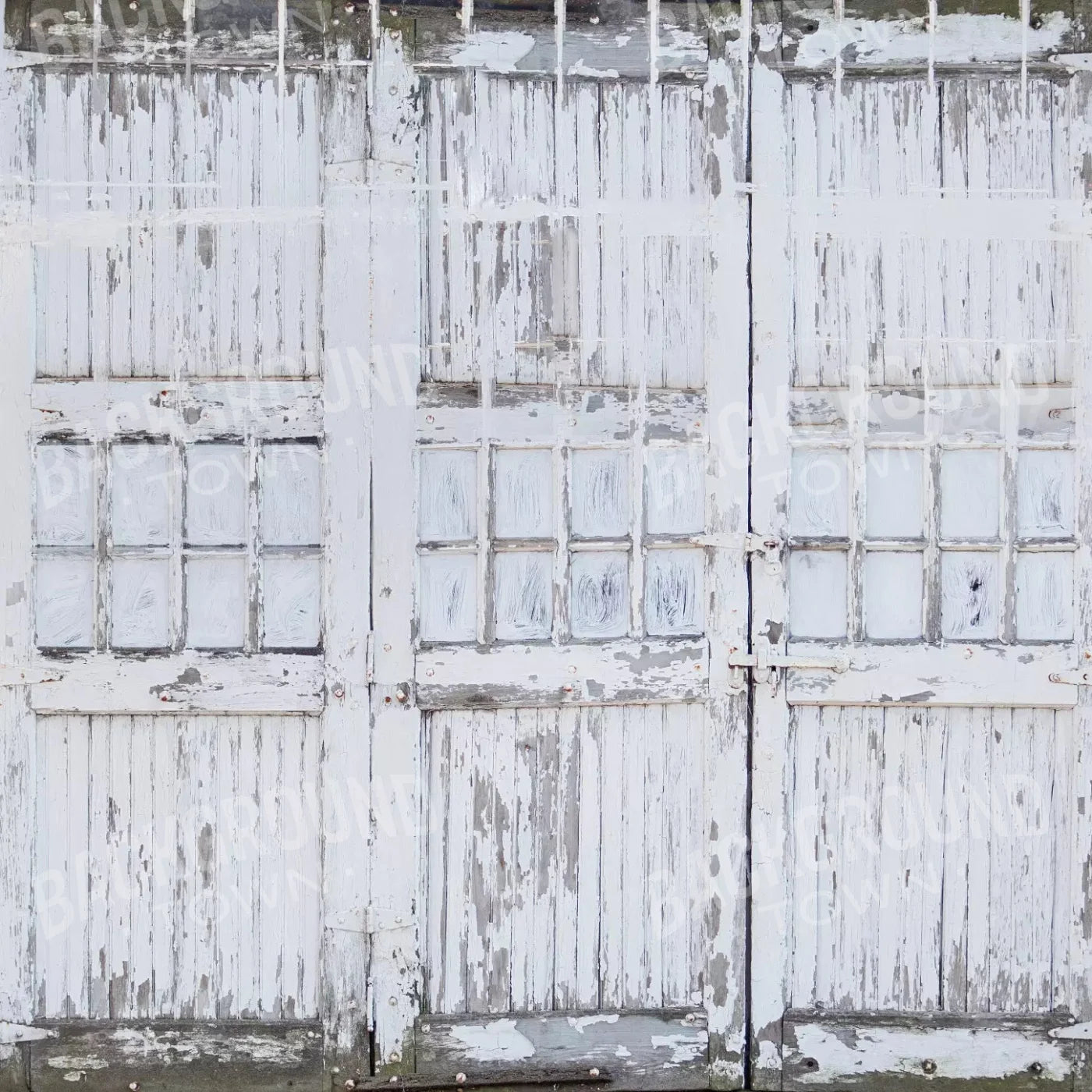 Rustic White Doors 10X10 Ultracloth ( 120 X Inch ) Backdrop