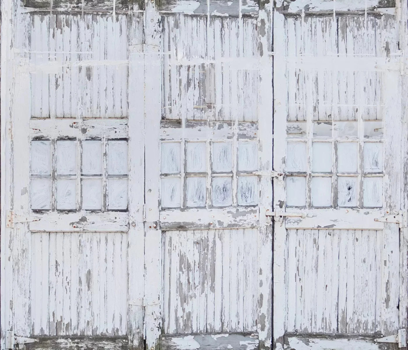 Rustic White Doors 12X10 Ultracloth ( 144 X 120 Inch ) Backdrop