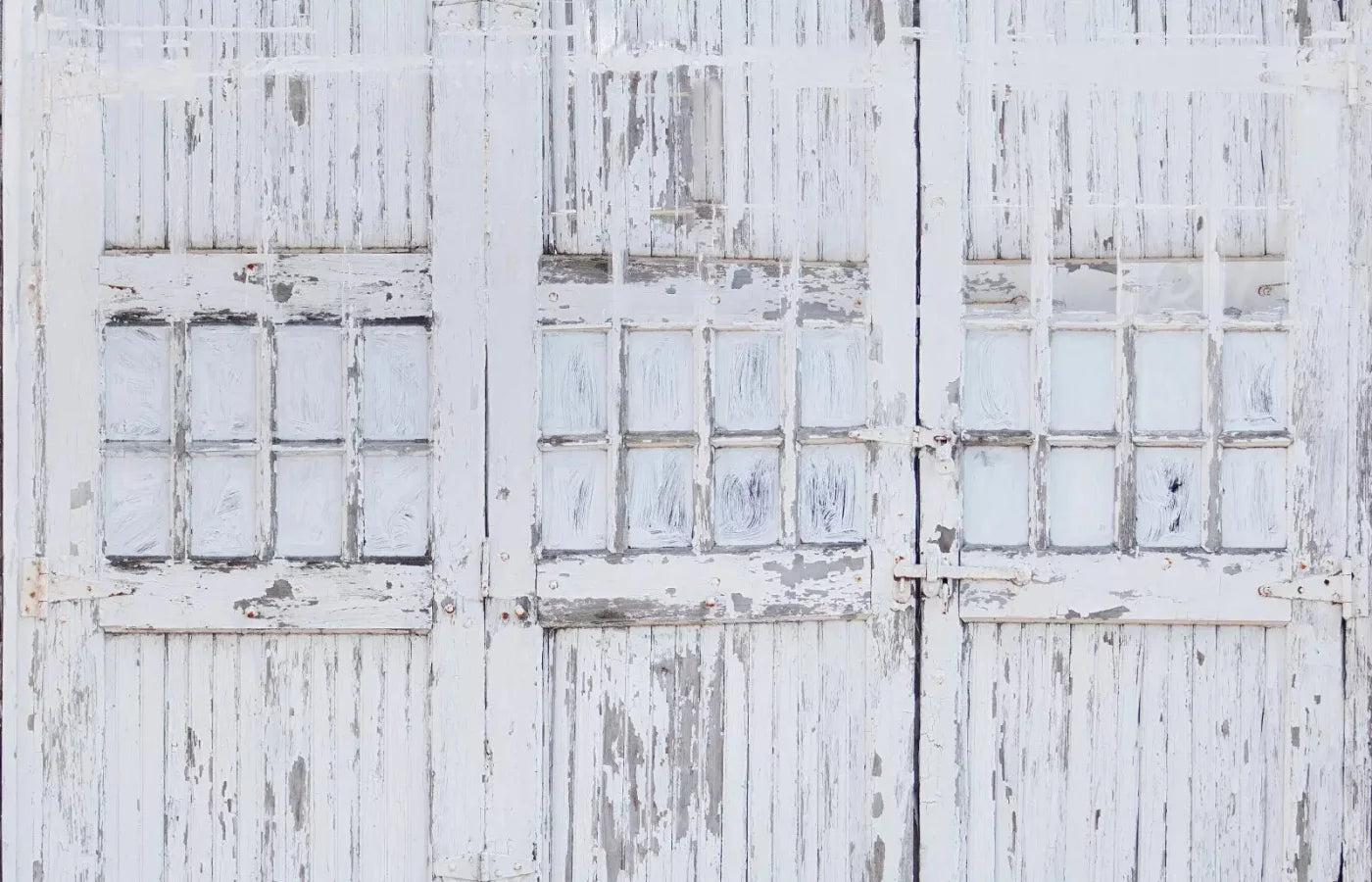Rustic White Doors 12X8 Ultracloth ( 144 X 96 Inch ) Backdrop