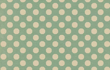 Ryden 12X8 Ultracloth ( 144 X 96 Inch ) Backdrop