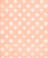 Pink Pattern Backdrop for Photography