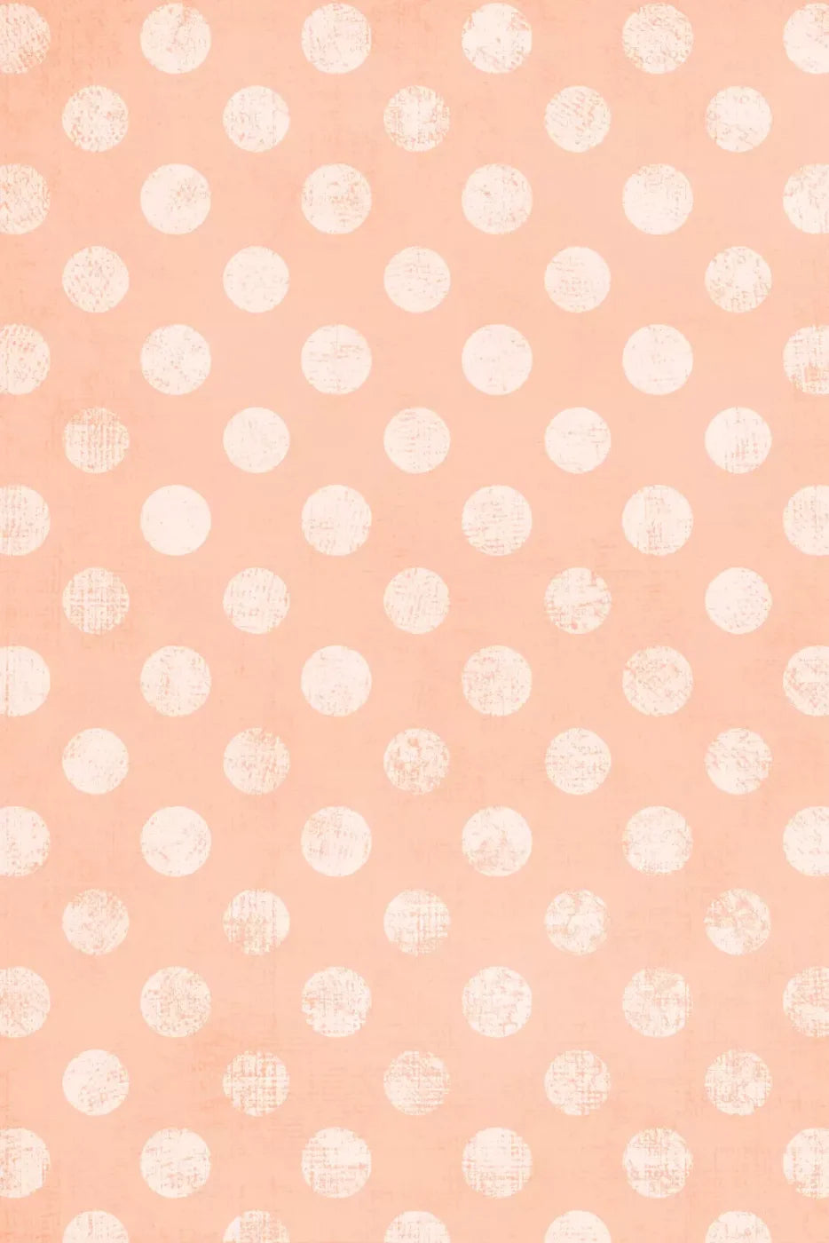 Rylee Backdrop