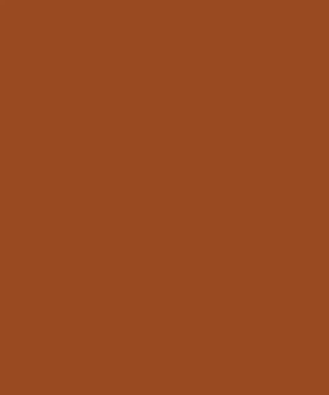 Saddle Brown Solid Color Backdrop for Photography