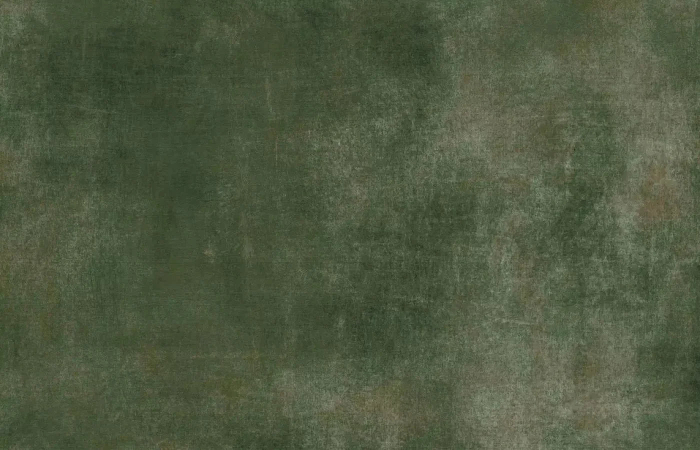 Sage Sanctuary 12X8 Ultracloth ( 144 X 96 Inch ) Backdrop