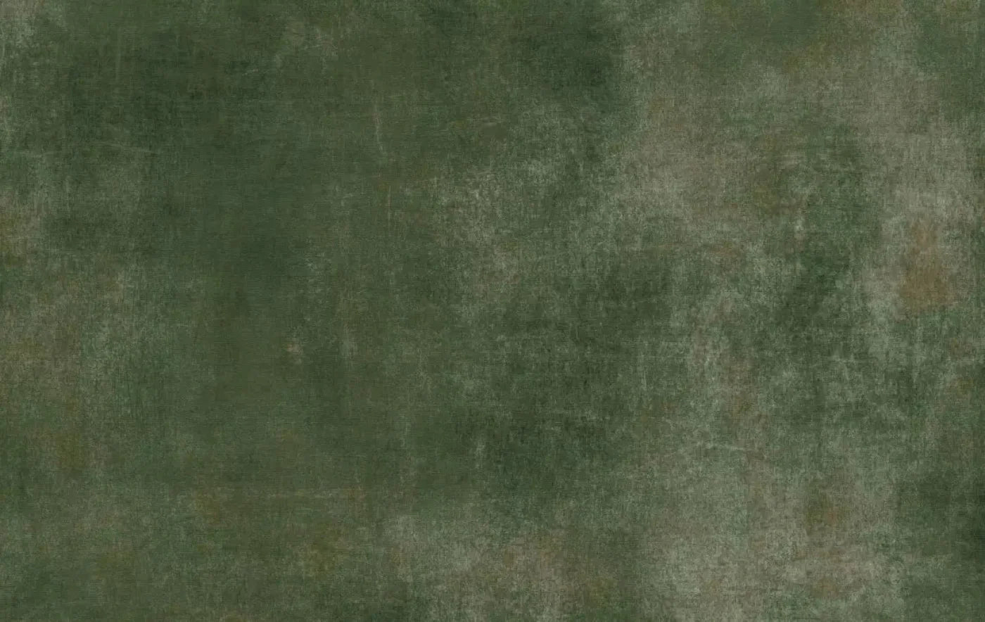 Sage Sanctuary 16X10 Ultracloth ( 192 X 120 Inch ) Backdrop