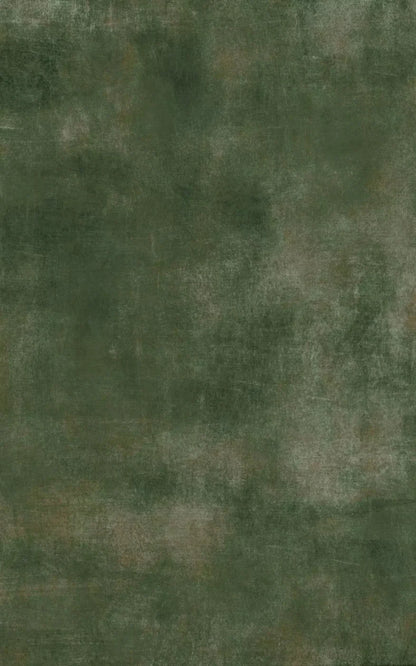 Sage Sanctuary 9X14 Ultracloth ( 108 X 168 Inch ) Backdrop