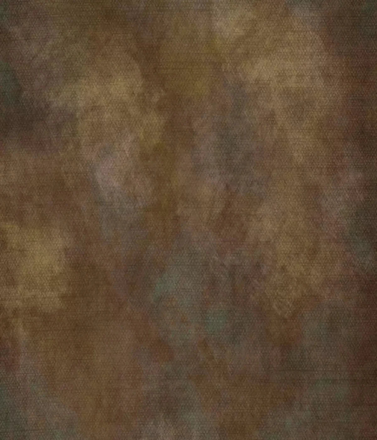 Sal 10X12 Ultracloth ( 120 X 144 Inch ) Backdrop