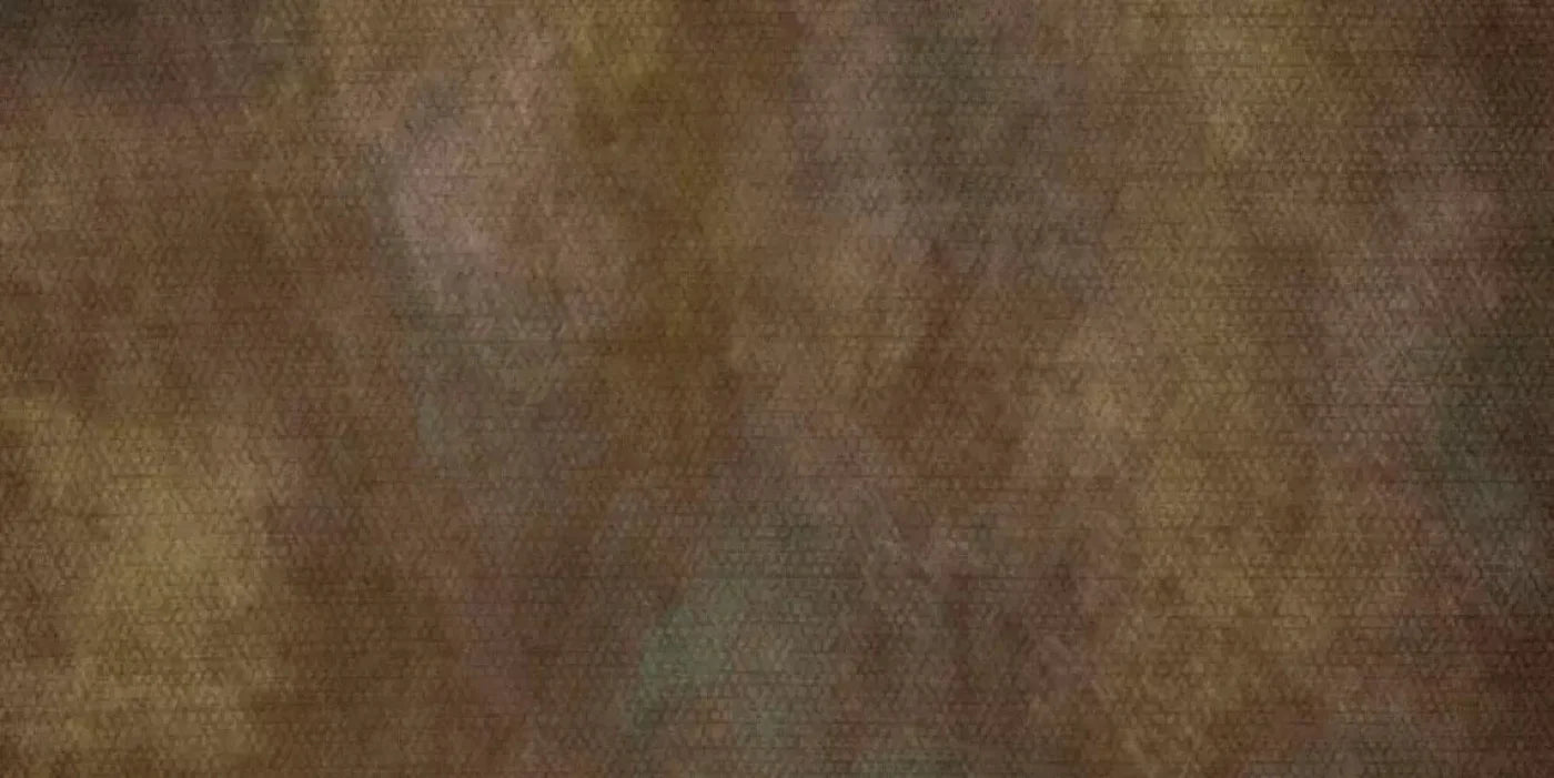 Sal 20X10 Ultracloth ( 240 X 120 Inch ) Backdrop