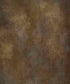 Brown Classic and Masters Backdrop for Photography