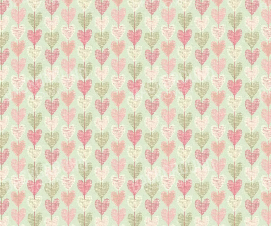 Salem 5X42 Fleece ( 60 X 50 Inch ) Backdrop