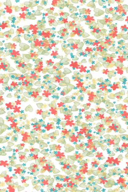 Sally Backdrop