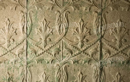 Salvaged 16X10 Ultracloth ( 192 X 120 Inch ) Backdrop