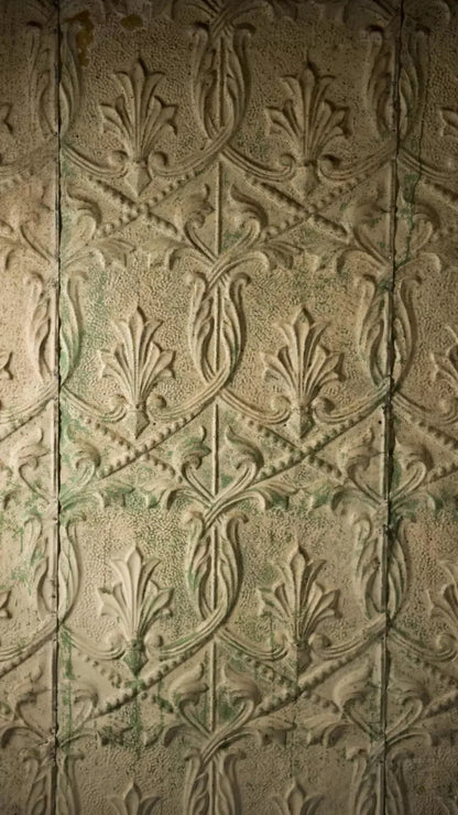 Salvaged 8X14 Ultracloth ( 96 X 168 Inch ) Backdrop