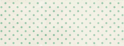 Sam 20X8 Ultracloth ( 240 X 96 Inch ) Backdrop