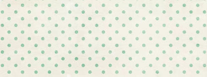 Sam 20X8 Ultracloth ( 240 X 96 Inch ) Backdrop