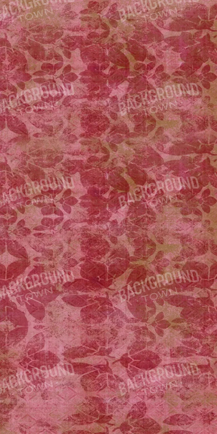 Sandra2 10X20 Ultracloth ( 120 X 240 Inch ) Backdrop