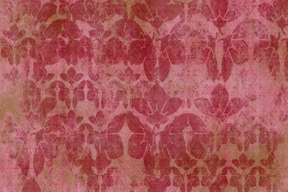 Sandra Backdrop