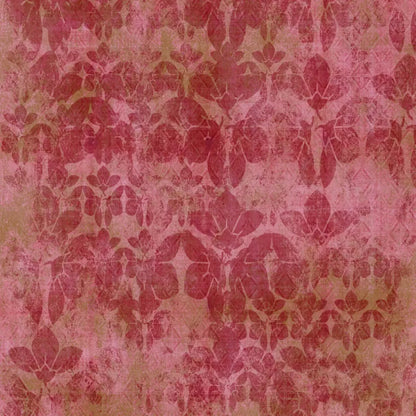 Sandra Backdrop
