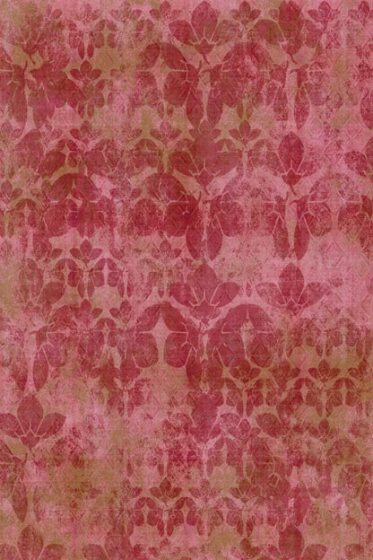 Sandra Backdrop