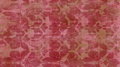 Sandra2 14X8 Ultracloth ( 168 X 96 Inch ) Backdrop