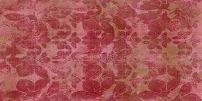 Sandra2 20X10 Ultracloth ( 240 X 120 Inch ) Backdrop