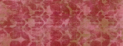 Sandra2 20X8 Ultracloth ( 240 X 96 Inch ) Backdrop