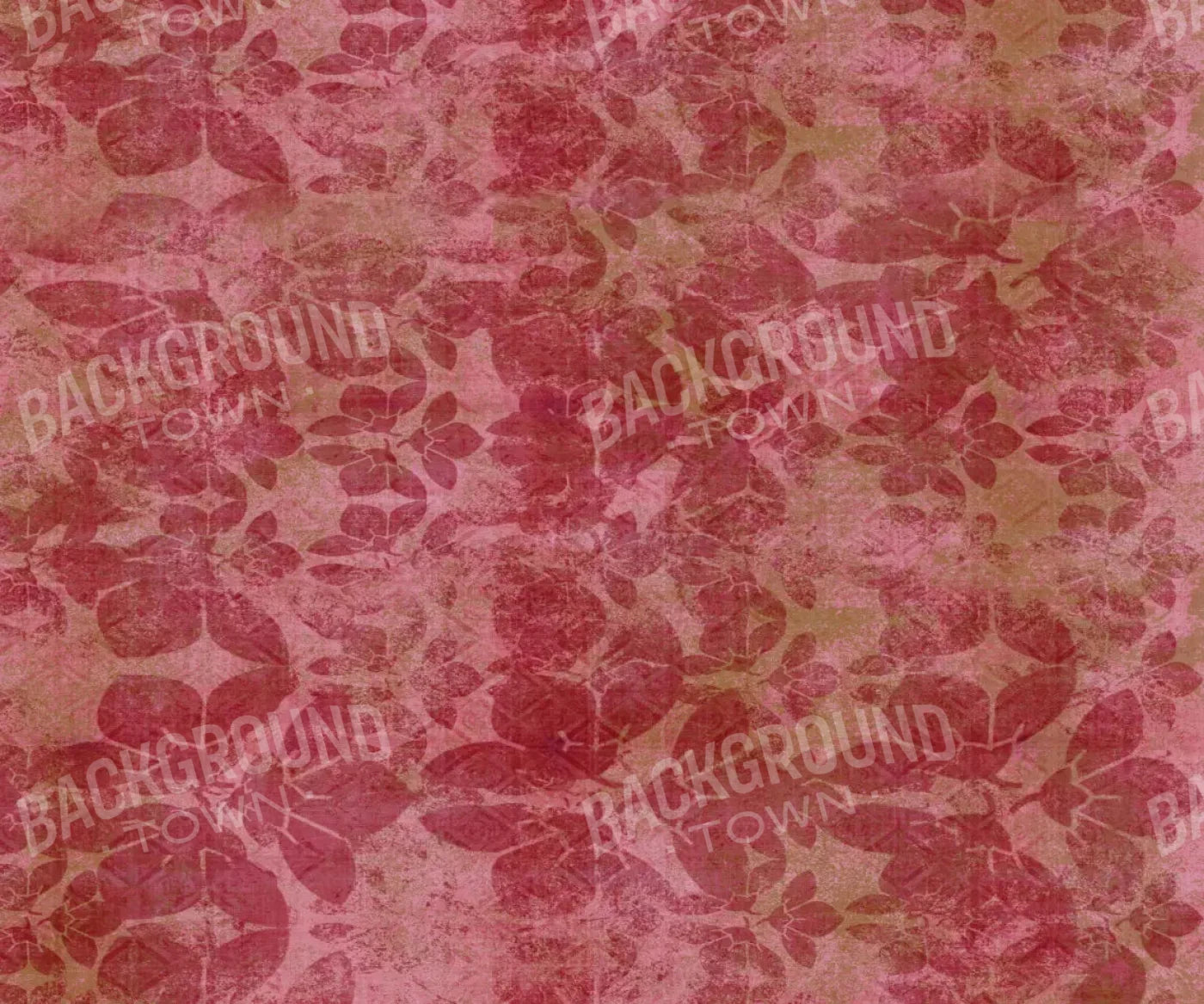 Sandra2 5X42 Fleece ( 60 X 50 Inch ) Backdrop