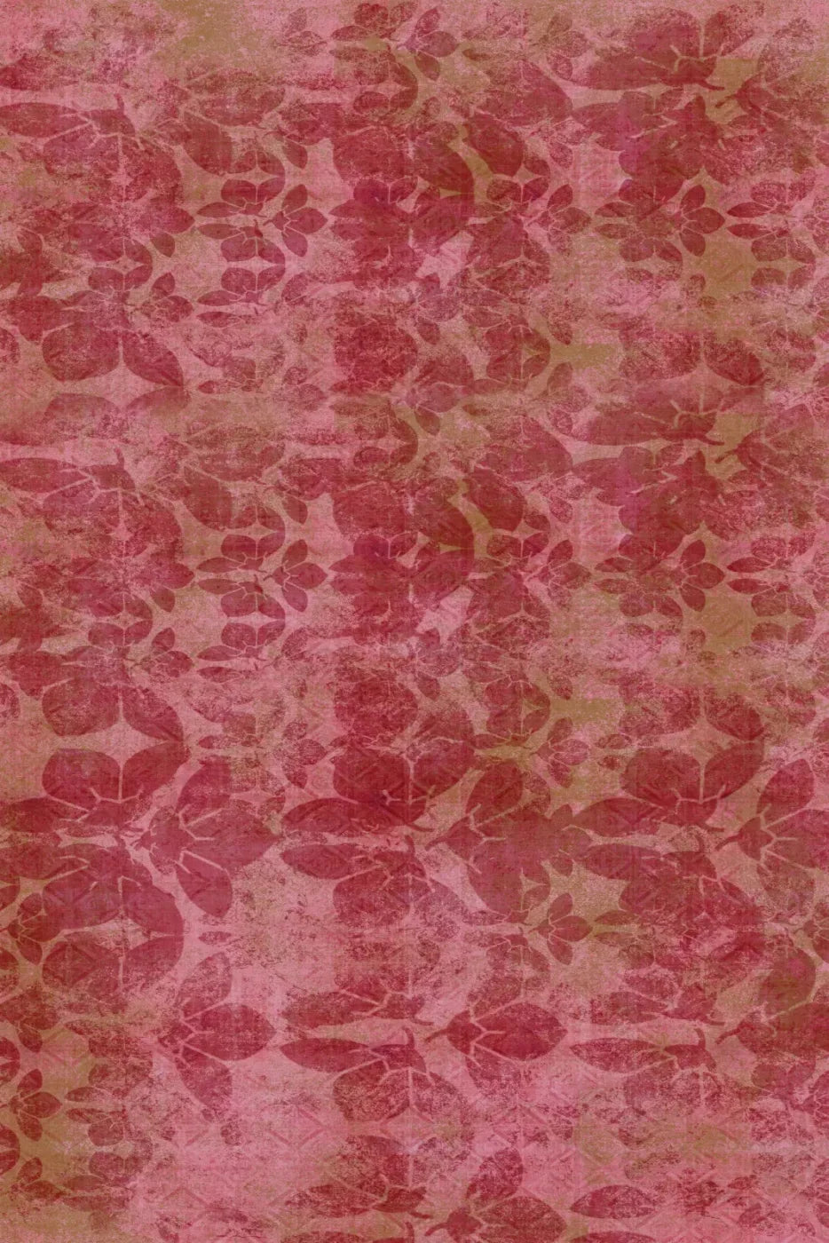 Sandra2 Backdrop
