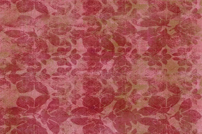 Sandra2 Backdrop