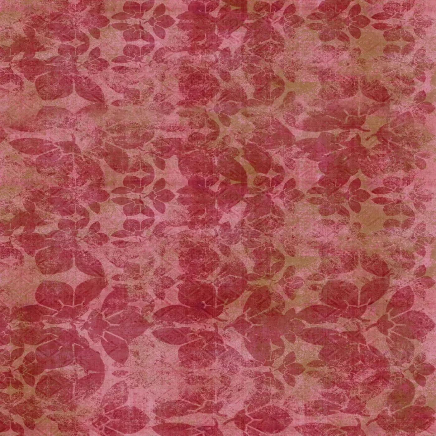 Sandra2 Backdrop