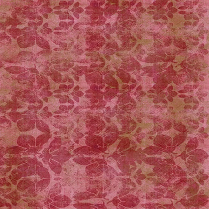 Sandra2 Backdrop
