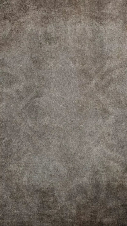 Sandstone 8X14 Ultracloth ( 96 X 168 Inch ) Backdrop