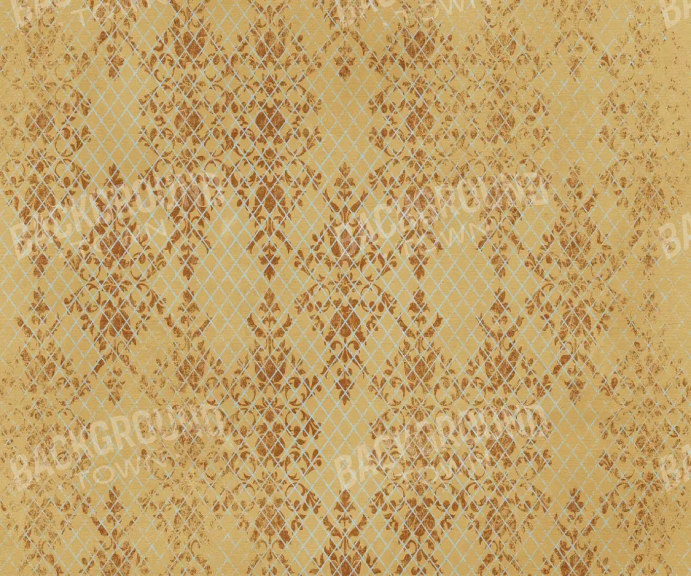 Sandy 5X42 Fleece ( 60 X 50 Inch ) Backdrop