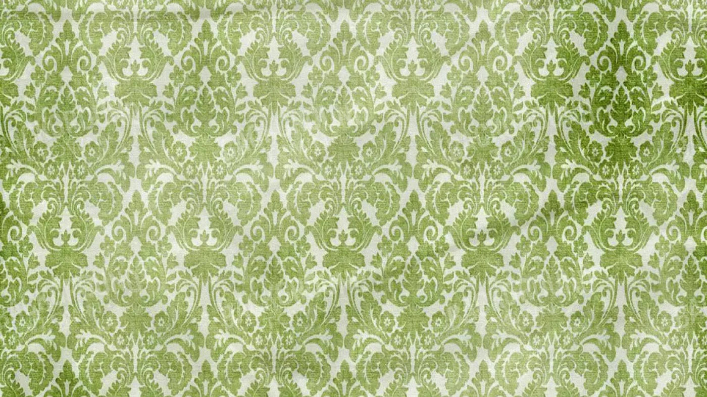 Santos 14X8 Ultracloth ( 168 X 96 Inch ) Backdrop