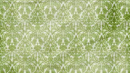 Santos 14X8 Ultracloth ( 168 X 96 Inch ) Backdrop