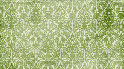 Santos 14X8 Ultracloth ( 168 X 96 Inch ) Backdrop