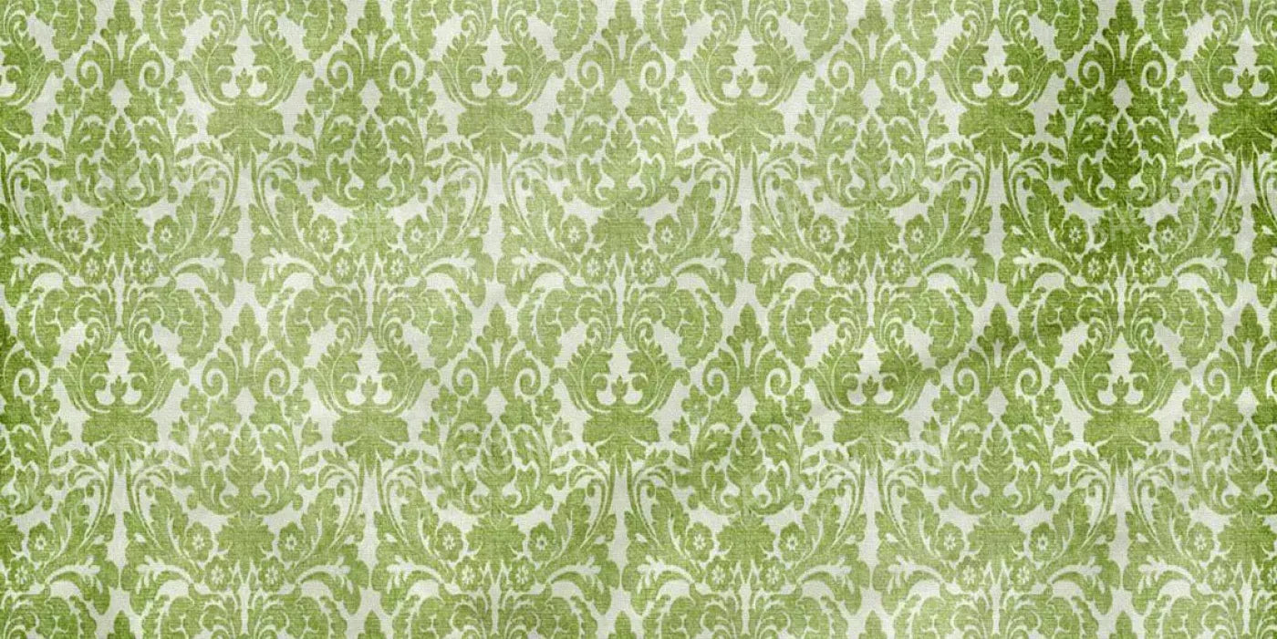 Santos 20X10 Ultracloth ( 240 X 120 Inch ) Backdrop