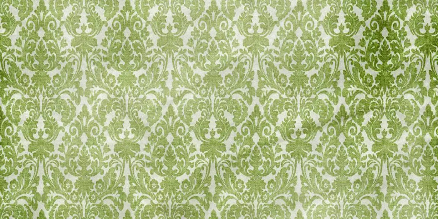 Santos 20X10 Ultracloth ( 240 X 120 Inch ) Backdrop