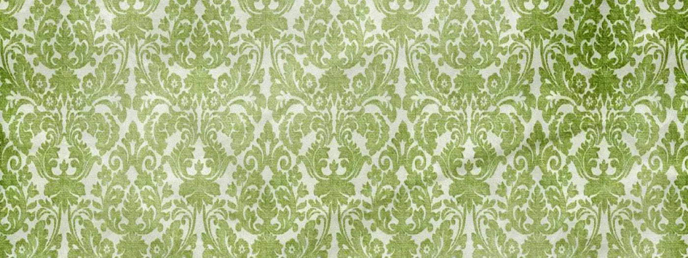 Santos 20X8 Ultracloth ( 240 X 96 Inch ) Backdrop